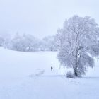 Rhön-Winter