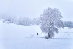 Rhön-Winter