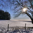 Rhön-Winter