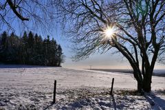 Rhön-Winter