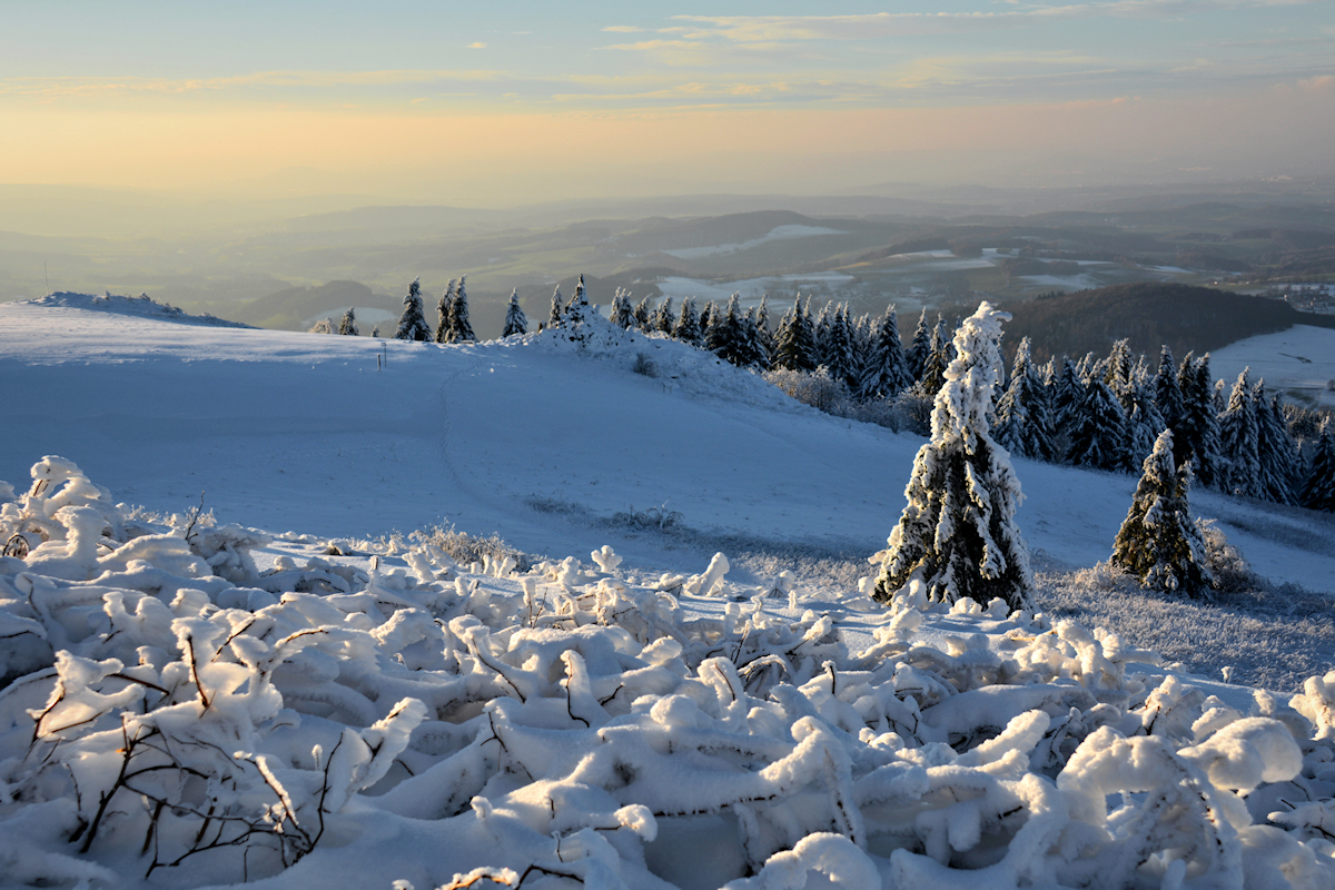 Rhön - Winter