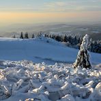 Rhön - Winter