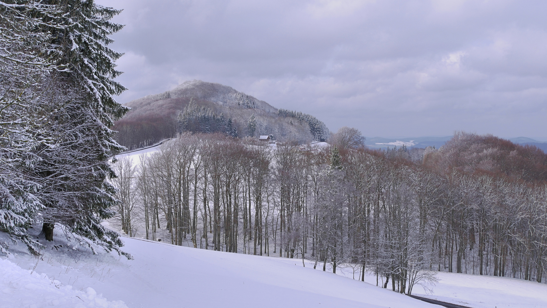 Rhön - Winter