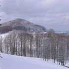 Rhön - Winter