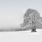 Rhön-Winter