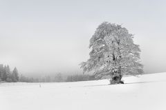 Rhön-Winter