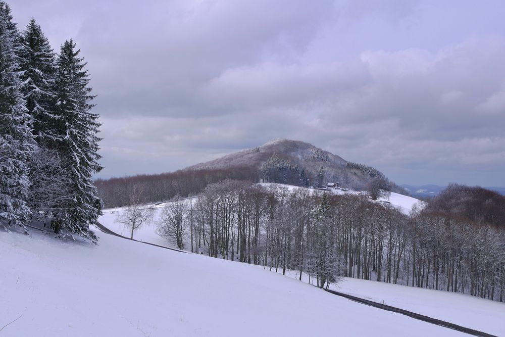 Rhön - Winter