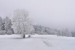 Rhön-Winter