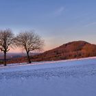 Rhön- Winter