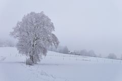 Rhön-Winter