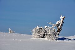 RHÖN -Winter