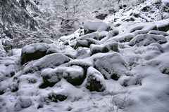 Rhön-Winter