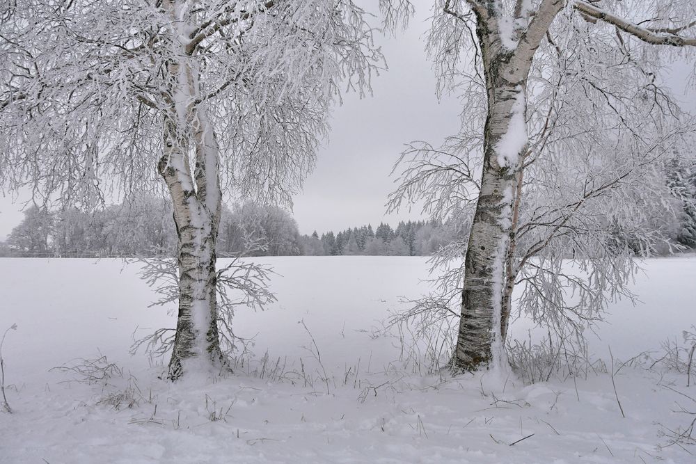 Rhön-Winter