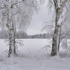 Rhön-Winter
