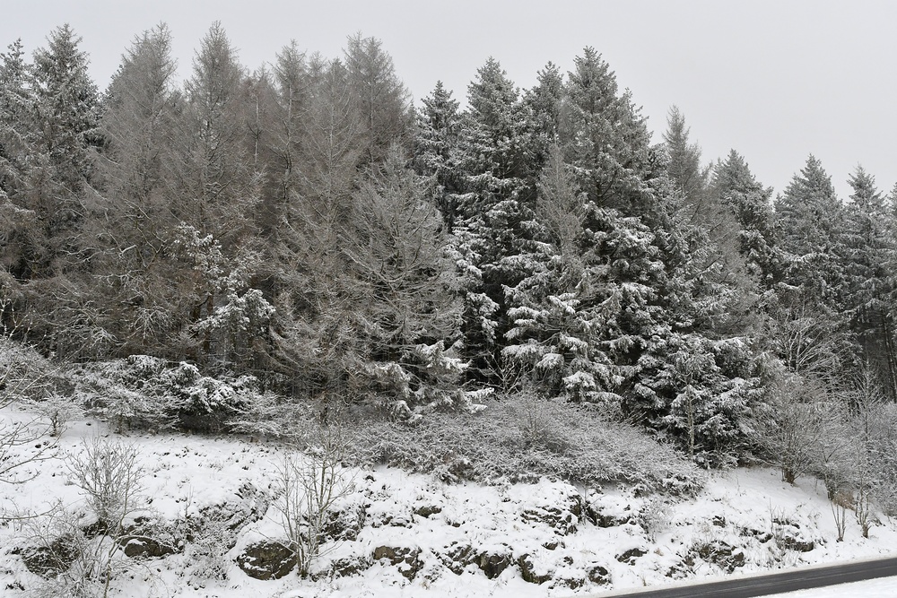 Rhön: Winter am Straßenrand 01