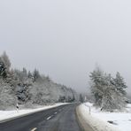 Rhön: Winter am Straßenrand 02