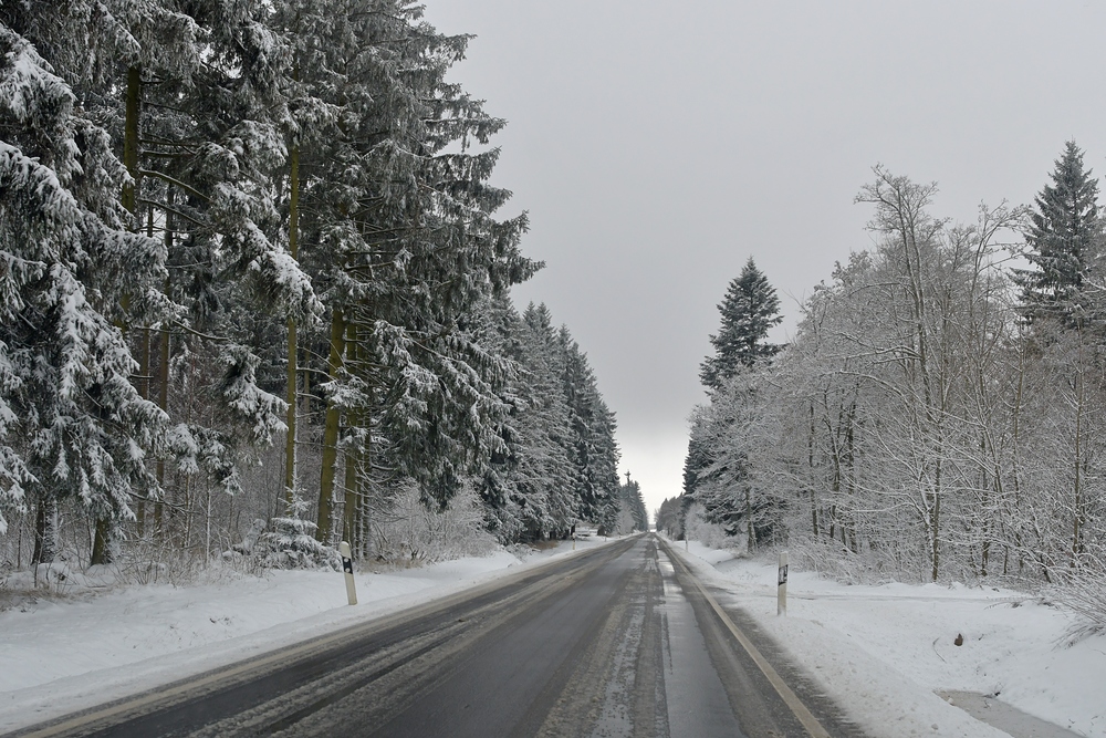 Rhön: Winter am Straßenrand 03