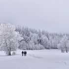 Rhön-Winter