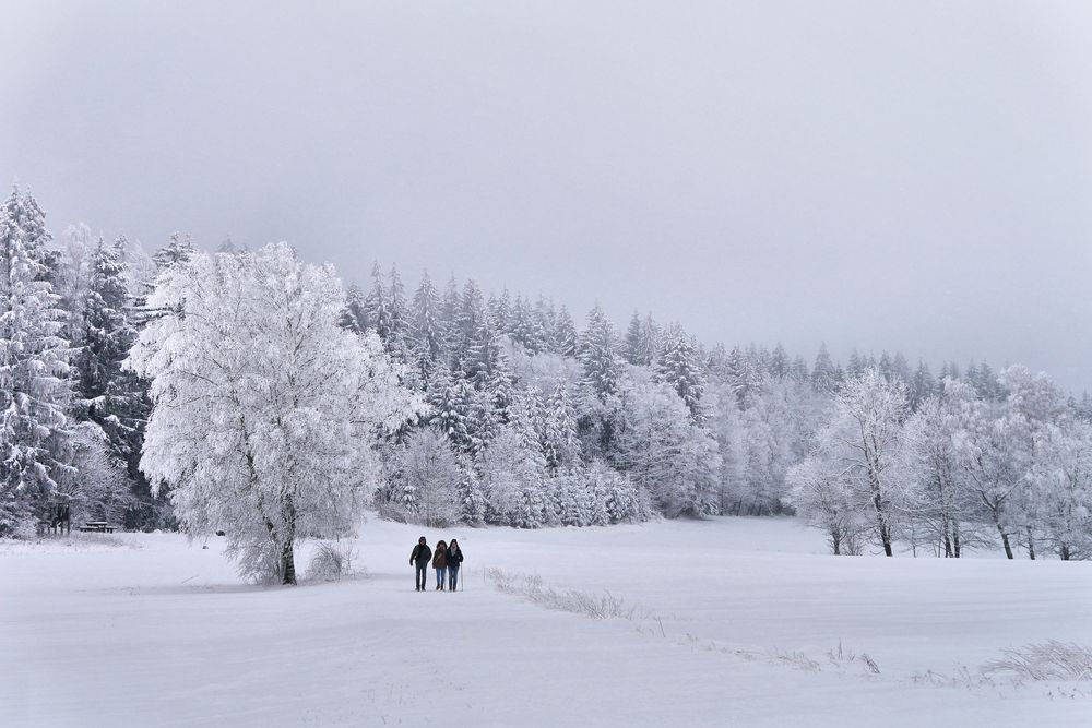 Rhön-Winter