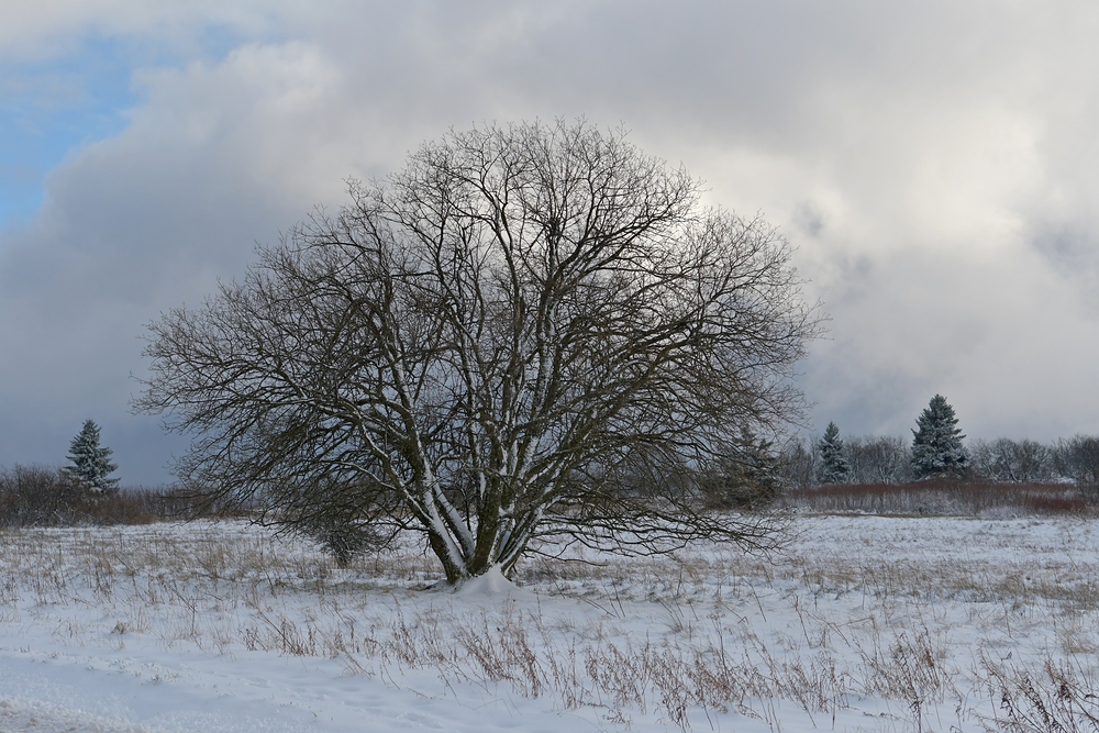 Rhön – Winter: Blick aus dem Auto 01