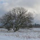 Rhön – Winter: Blick aus dem Auto 01