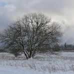 Rhön – Winter: Blick aus dem Auto 01