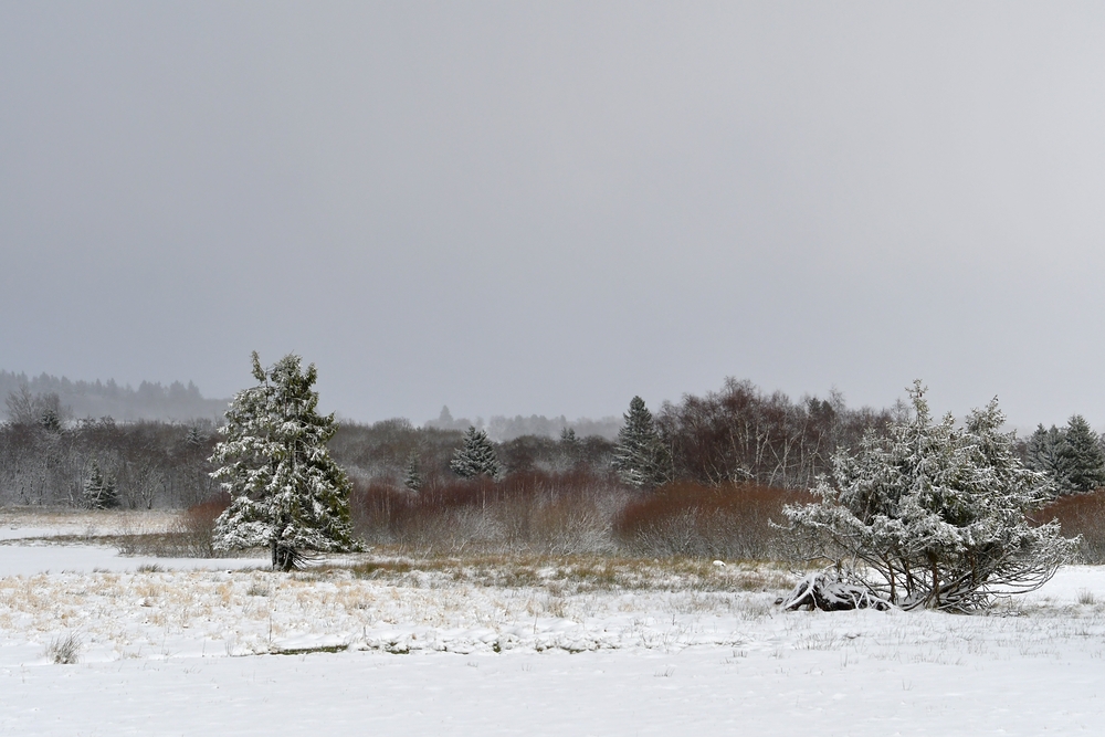 Rhön – Winter: Blick aus dem Auto 02