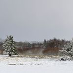 Rhön – Winter: Blick aus dem Auto 02