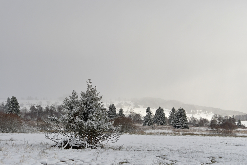 Rhön – Winter: Blick aus dem Auto 03