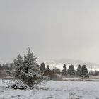 Rhön – Winter: Blick aus dem Auto 03