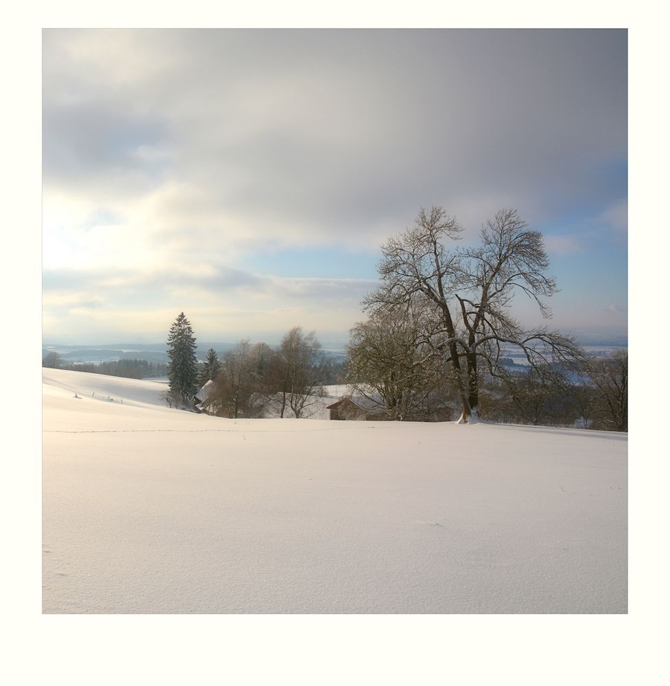 Rhön-Winter