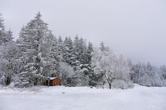 Rhön-Winter