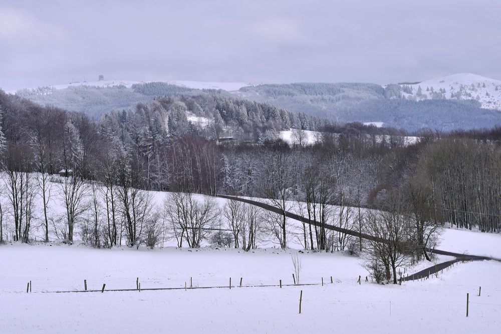 Rhön - Winter