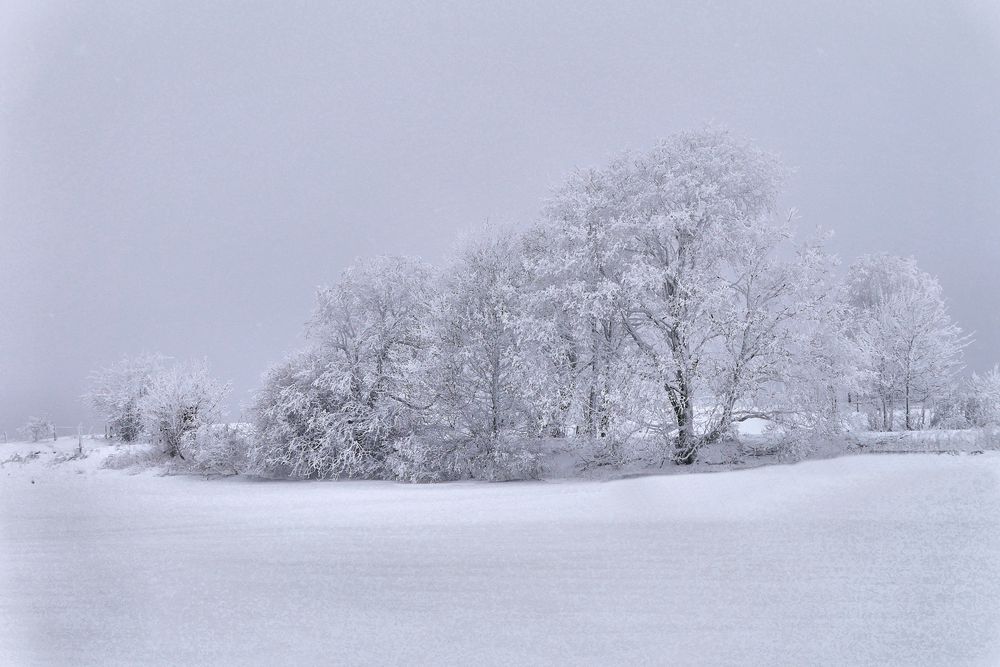 Rhön-Winter