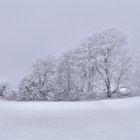 Rhön-Winter