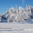 RHÖN -Winter