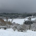 Rhön – Winter: Die schönen Fichten 01