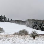 Rhön – Winter: Die schönen Fichten 02