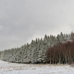 Rhön – Winter: Die schönen Fichten 03