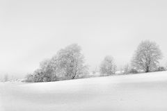 Rhön-Winter