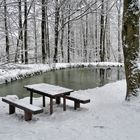 Rhön-Winter