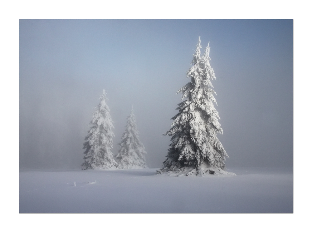 "Rhön-Winter02"