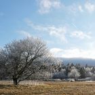 Rhön – Winterchen 01