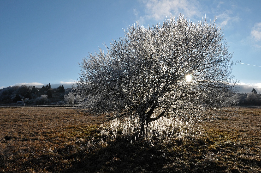 Rhön – Winterchen 02