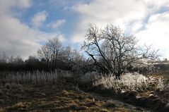 Rhön – Winterchen 04