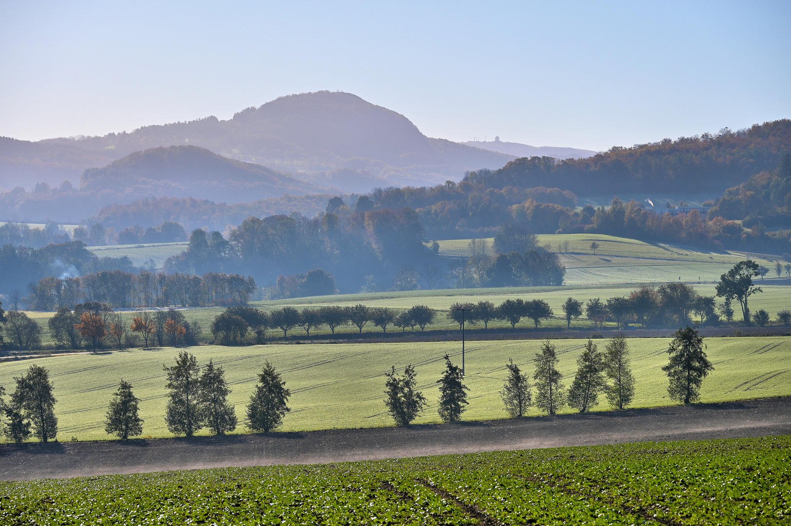 RHÖNBLICK