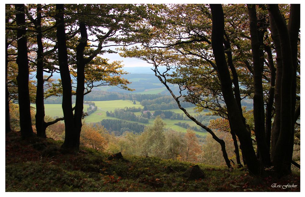 Rhönblick vom Stellberg