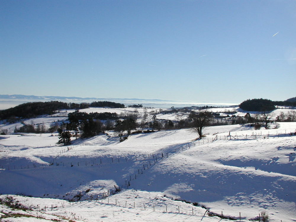 Rhoenealpen im Winter