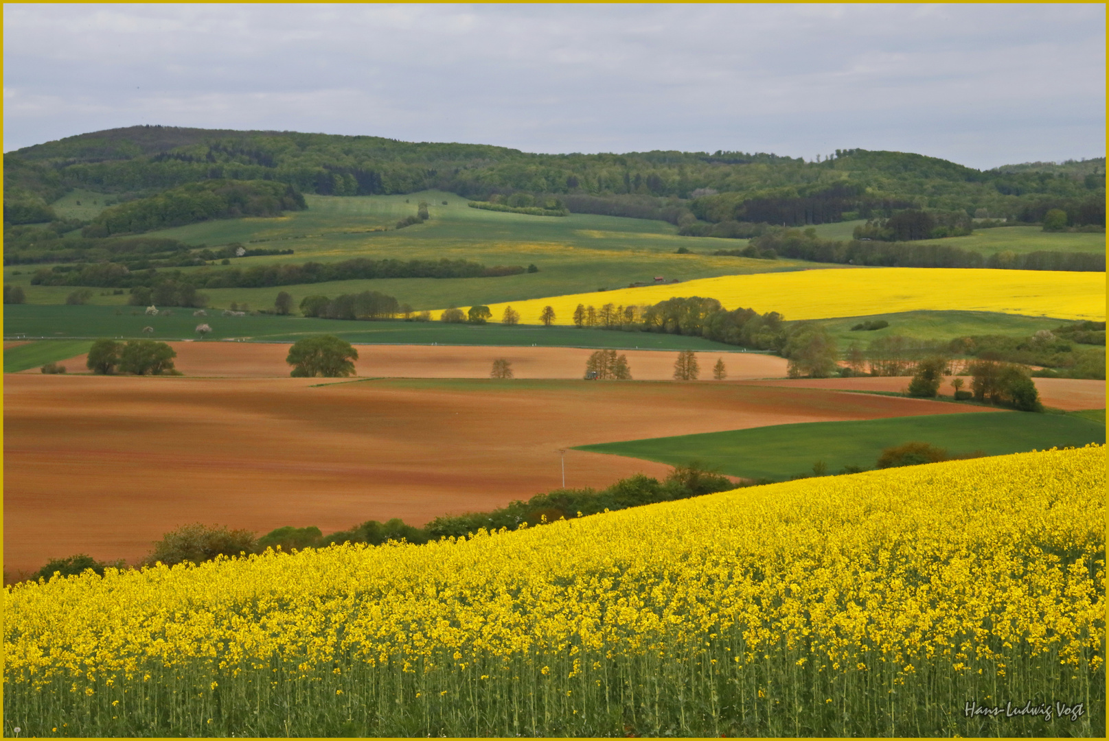 Rhöner Frühling (1)