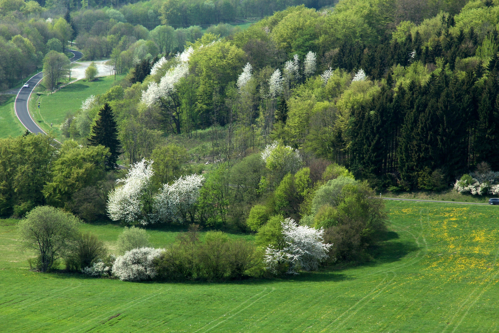 Rhön:Frühling